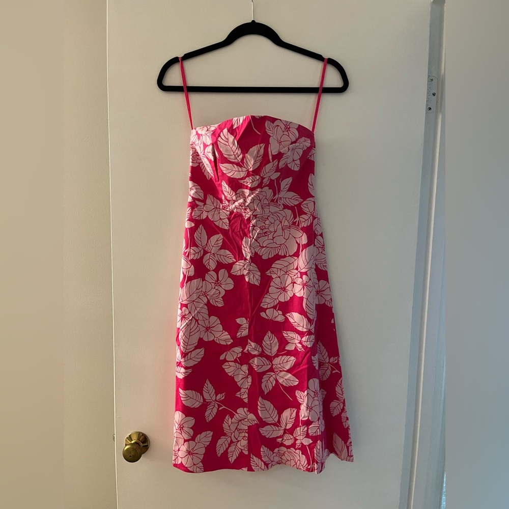 Express Floral Dress